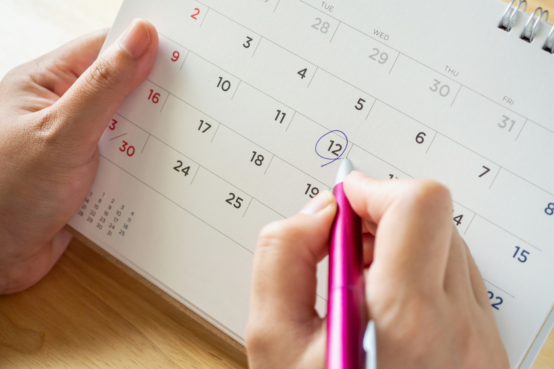 Terminy egzaminów maturalnych i egzaminów 8 2024.