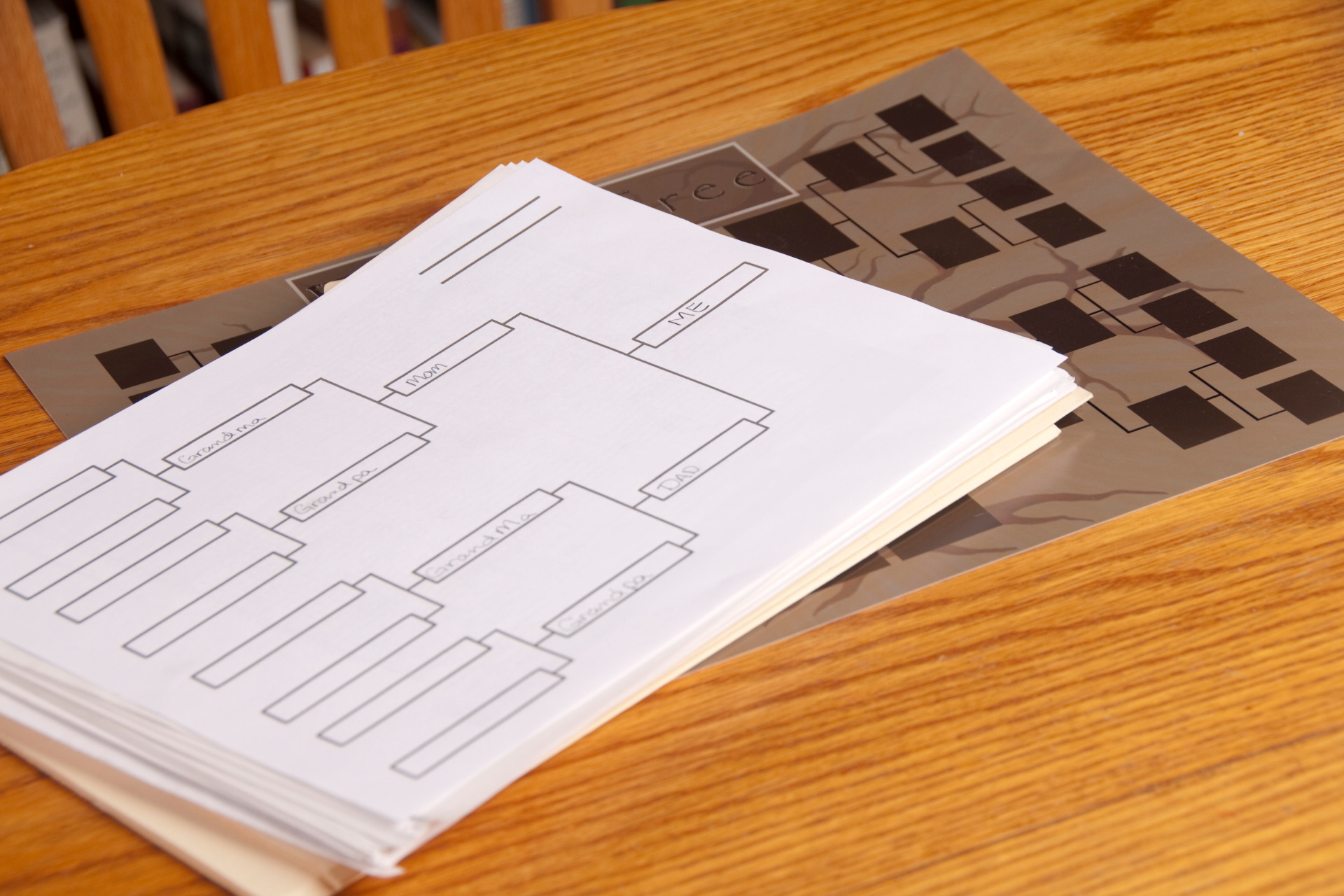 Dowiedz się, jak zrobić drzewo genealogiczne w programie Canva! Przewodnik krok po kroku, który pomoże Ci stworzyć piękne i unikalne drzewo genealogiczne, idealne dla dzieci na projekt szkolny.