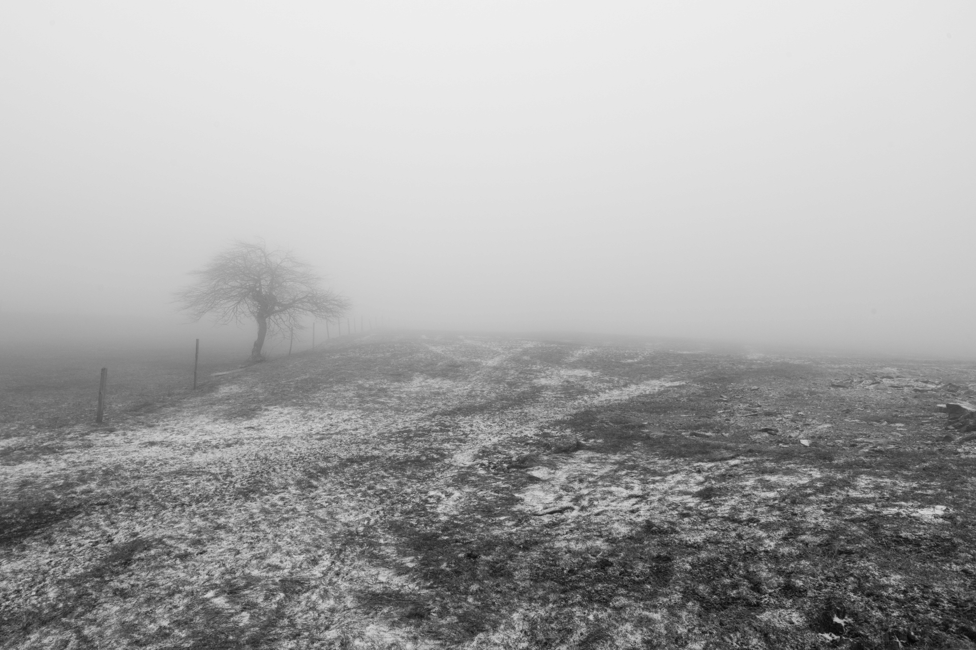 Poznaj „Treny” Jana Kochanowskiego jako wyraz ojcowskiego bólu po stracie córki. Analiza żałoby, kryzysu wiary i uniwersalnego przesłania tego niezwykłego cyklu poetyckiego.